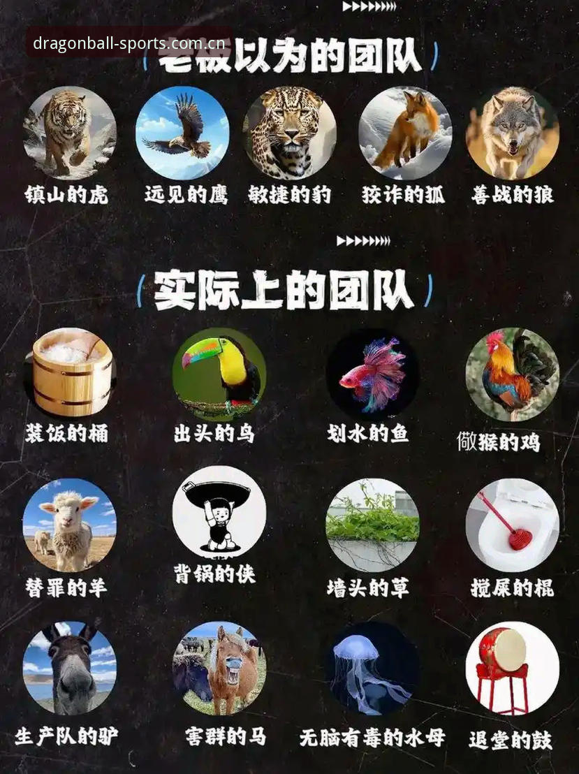 世界杯安保策略大不同：3名英警vs40人团队，龙珠体育平台带你看清赛事背后的博弈