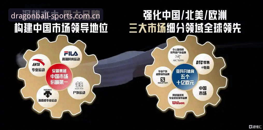 龙珠体育专业服务 龙珠体育平台专业服务完整指南:从品牌评价到高效使用的核心要点